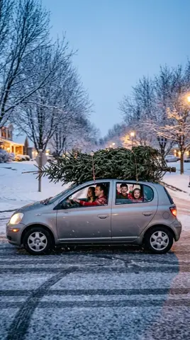 Photo 2: the family car driving home with the tree hanging off both ends